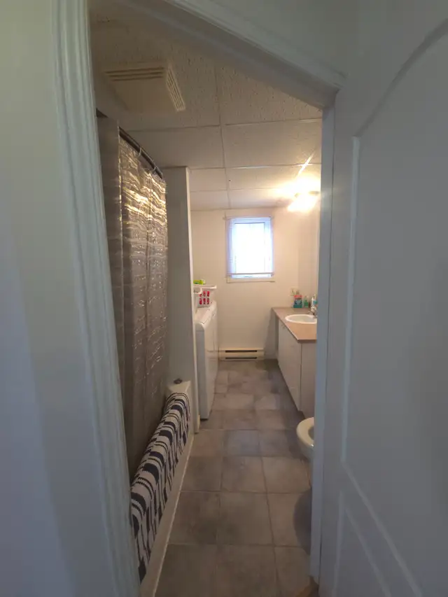 Grand 4 1/2 Rénové Disponible pour le 1er Juillet - Photo 9