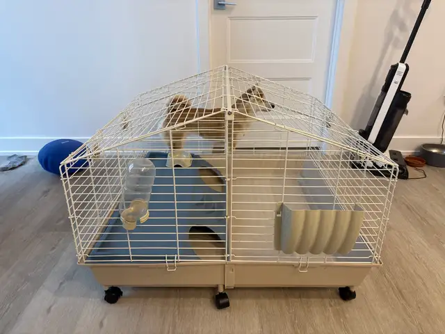 Rabbit/squirrel/ bird/cat cage