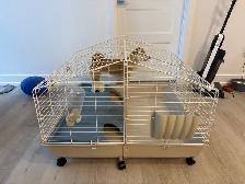 Rabbit/squirrel/ bird/cat cage