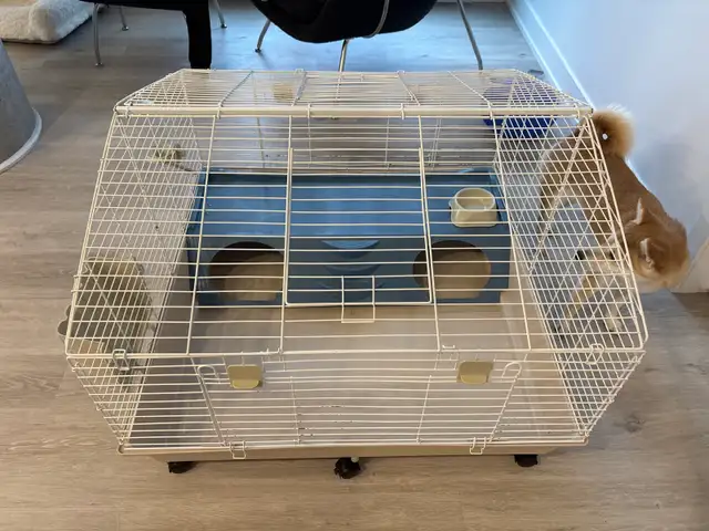 Rabbit/squirrel/ bird/cat cage - Photo 2