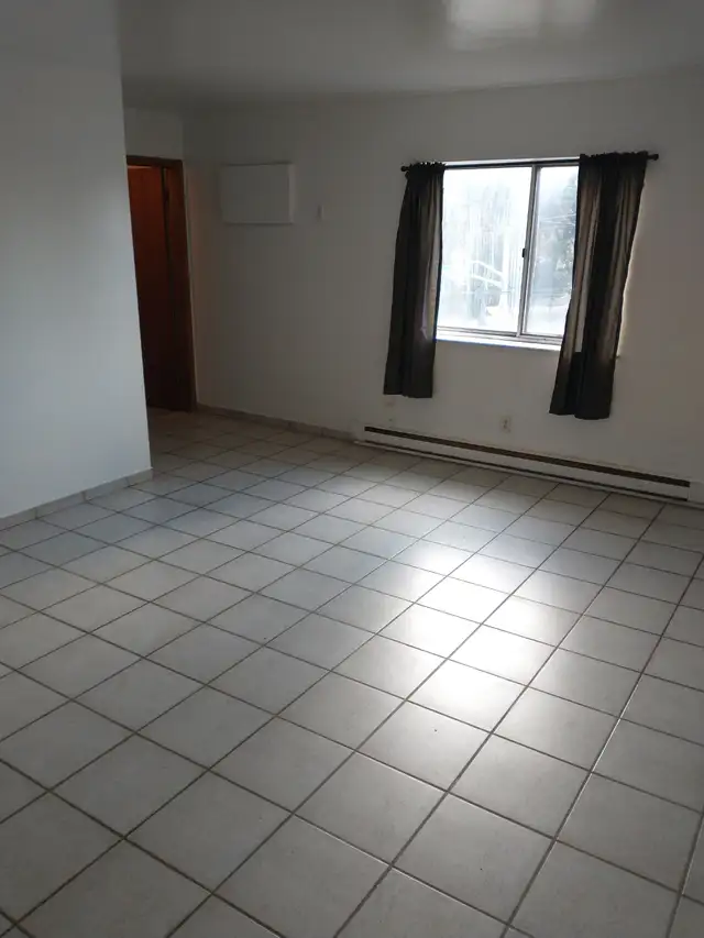 $1250 Large 1 Bedroom Apt. Downtown. All incl. utils. - Photo 3