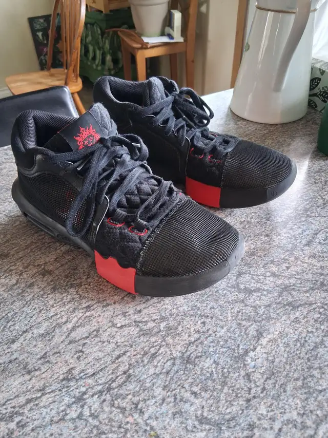 Lebron Basketball Shoes