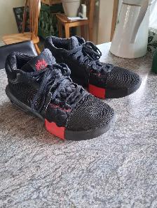 Lebron Basketball Shoes