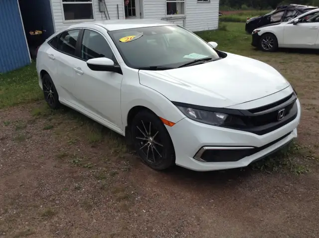 2019 Honda Civic LX - Photo 3