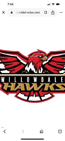Looking for a U11 Goalie to join our Select team