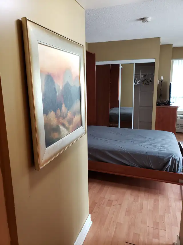 CONDO Studio fully furnished short or long term Yonge & Sheppard - Photo 4