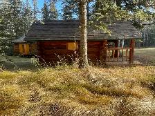LOG CABIN For Sale - Photo 2