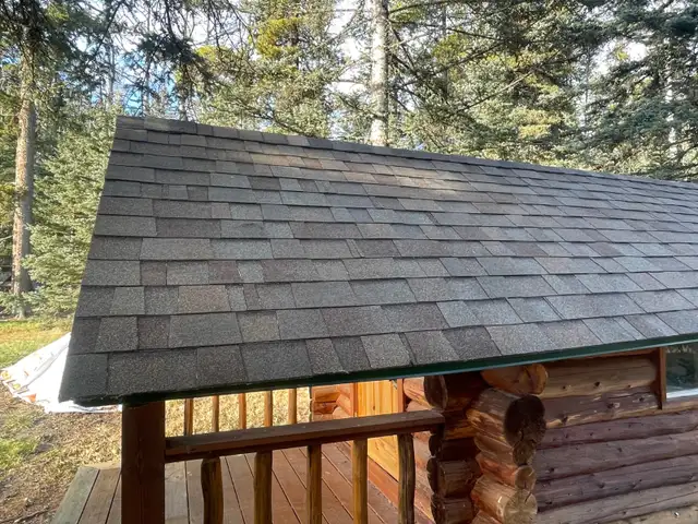 LOG CABIN For Sale - Photo 4
