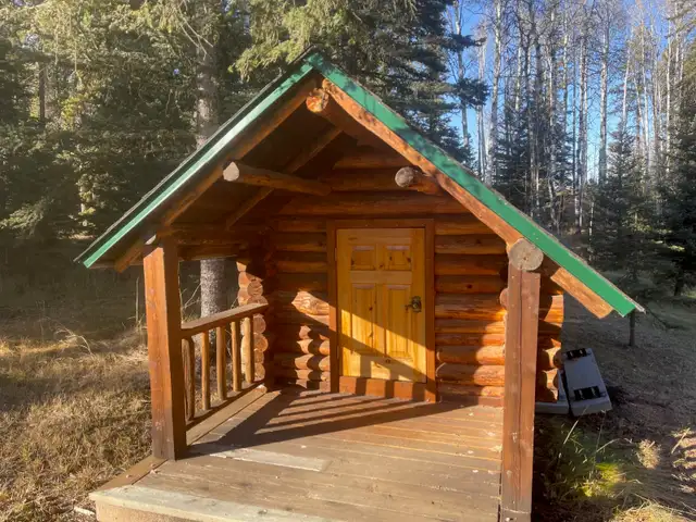 LOG CABIN For Sale - Photo 7