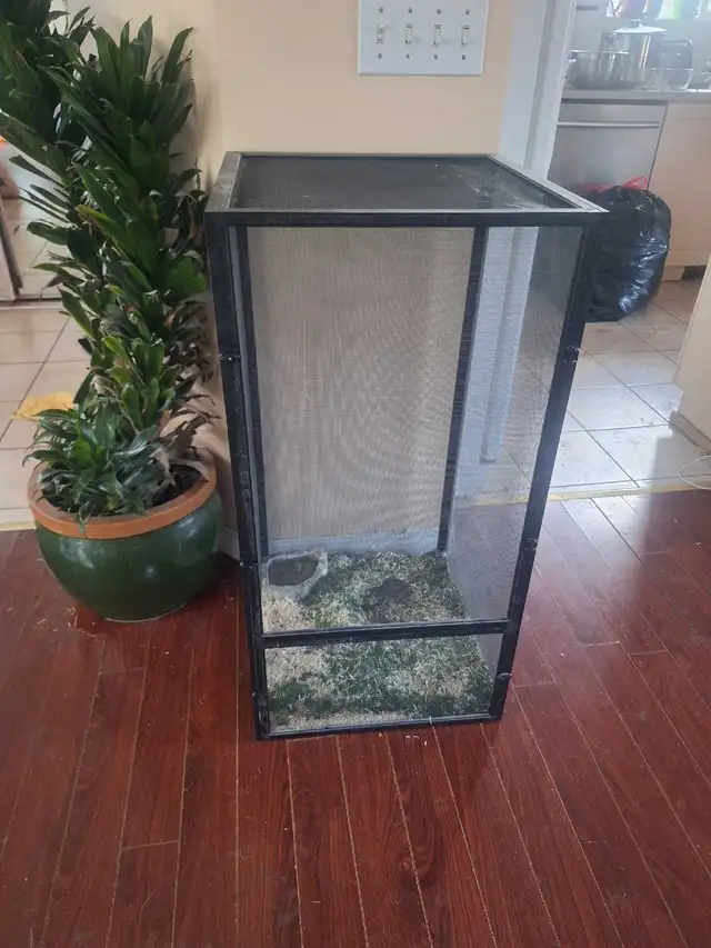 Terrarium