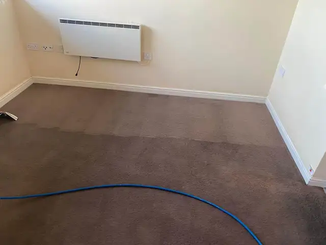 Complete Home Carpet & Couch_Cleaning - Photo 3