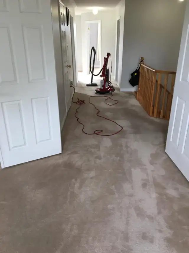 Complete Home Carpet & Couch_Cleaning - Photo 5