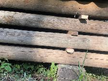 FENCE RAILS for sale