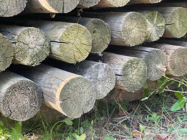 FENCE RAILS for sale - Photo 2