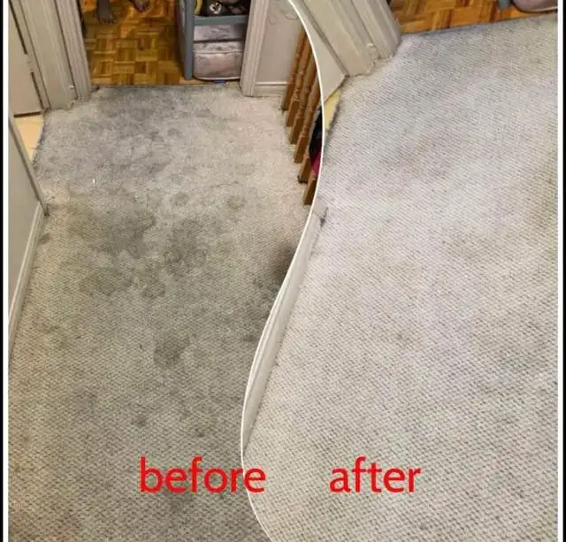 The Comfort Home Carpet & Sofa_Cleaning - Photo 3