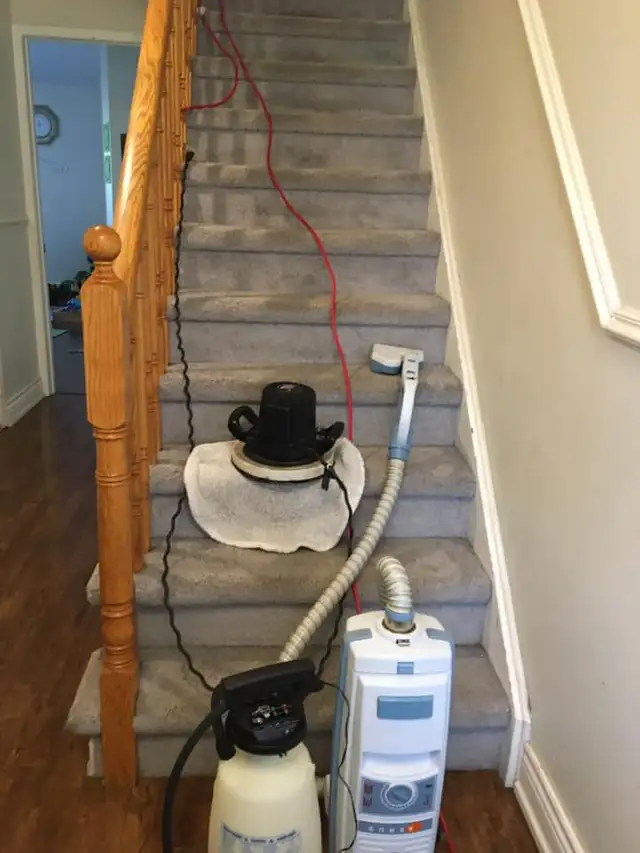 The Comfort Home Carpet & Sofa_Cleaning - Photo 4