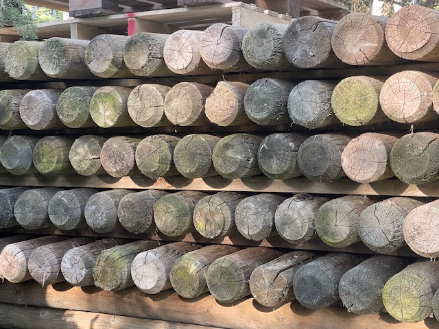 FENCE POSTS for sale