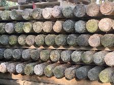 FENCE POSTS for sale