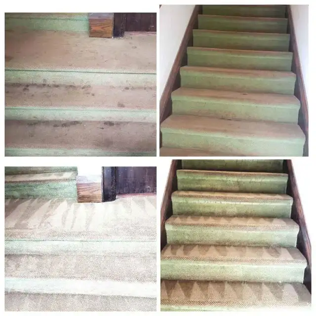 Comfort House Carpet,Rugs & Sofa_Cleaning - Photo 3