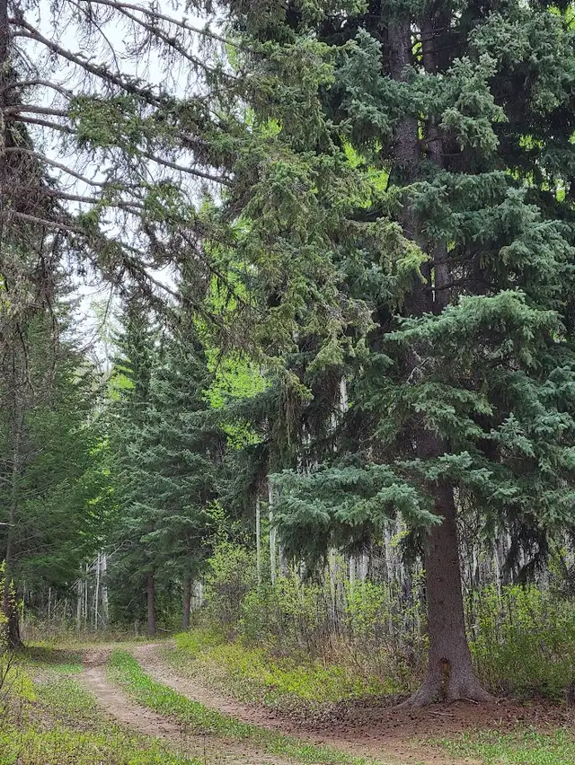 Vacant Land. - Photo 2