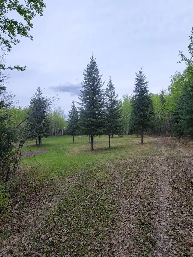 Vacant Land. - Photo 8