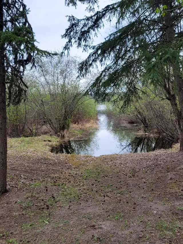 Vacant Land. - Photo 10