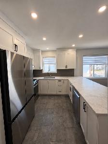 4 1/2 Laval st rose