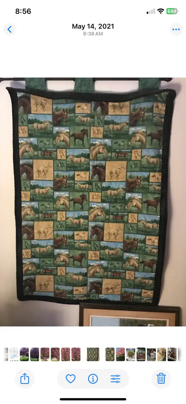 Beautiful hand quilted horse quilt. 46 inches X 26 inches.