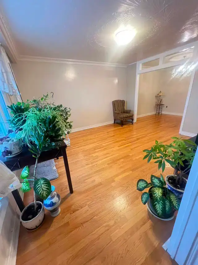 Entire level, 3 bed rooms, private kitchen and bathroom - Photo 6