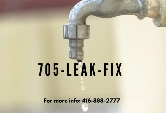 VANITY LEAK-FIX Easy to remember memorable vanity phone number