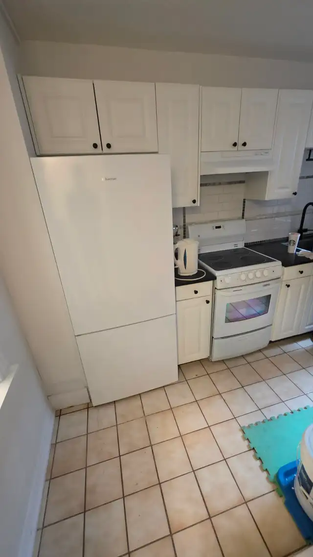 EARLY Access: Renovated 1 Bedroom Apartment (Jane/ Bloor) - Photo 4