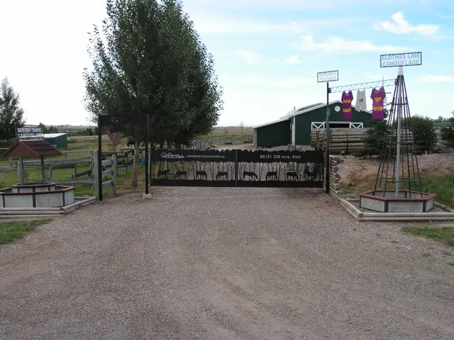 HORSE BOARDING - $240 per Month includes Feed. Sorry No Arena. - Photo 2