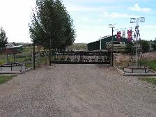 HORSE BOARDING - $240 per Month includes Feed. Sorry No Arena. - Photo 2