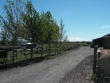 HORSE BOARDING - $240 per Month includes Feed. Sorry No Arena. - Photo 3