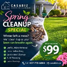 Spring Clean up/ Flower bed/ Garden Designing