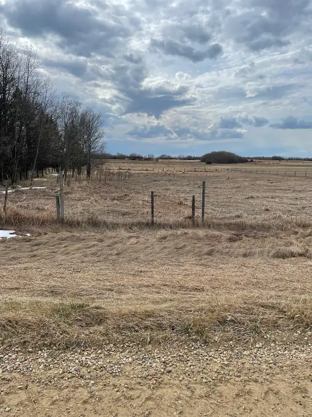 Pasture for rent - Photo 2