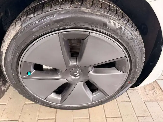 2019 Tesla Model 3 Standard Range Plus - Photo 9