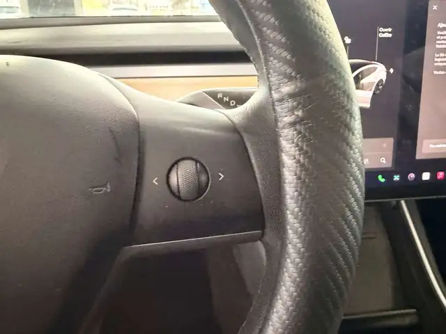 2019 Tesla Model 3 Standard Range Plus - Photo 19