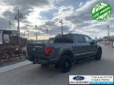 2026 FORD F-150 XLT - Photo 6