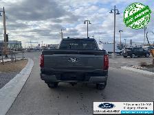2026 FORD F-150 XLT - Photo 7