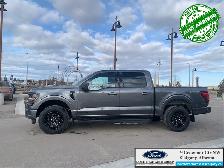 2026 FORD F-150 XLT - Photo 9