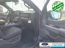 2026 FORD F-150 XLT - Photo 14