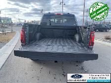 2026 FORD F-150 XLT - Photo 15