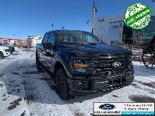 2026 FORD F-150 XLT - Photo 4