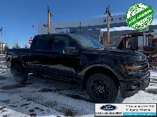 2026 FORD F-150 XLT - Photo 5