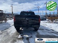 2026 FORD F-150 XLT - Photo 7