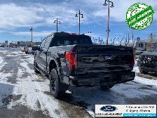 2026 FORD F-150 XLT - Photo 8