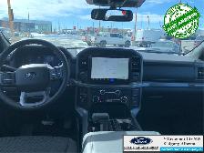 2026 FORD F-150 XLT - Photo 10