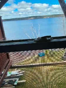 Clarenville 2 bedroom adult apartment for rent - Photo 4
