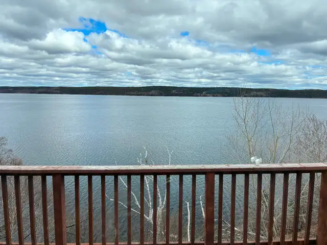 Clarenville 2 bedroom adult apartment for rent - Photo 11